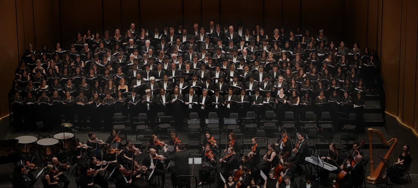 Orchestra Performance